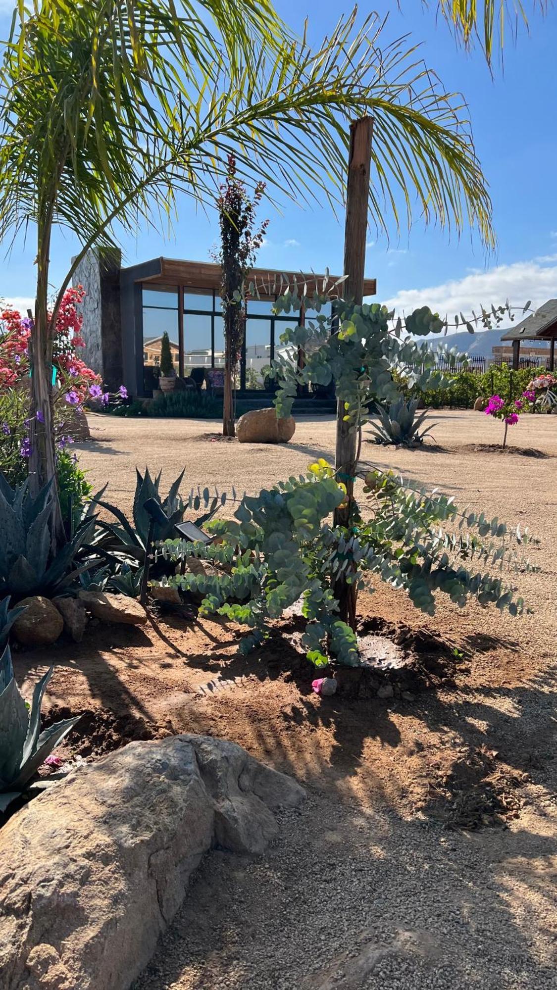 Hacienda 7 Amores Campsite